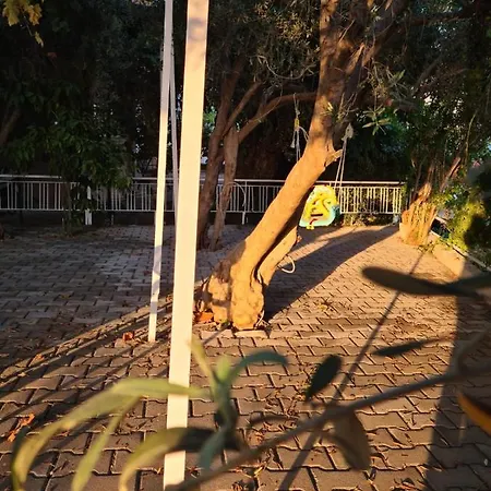 1922 Zeytin